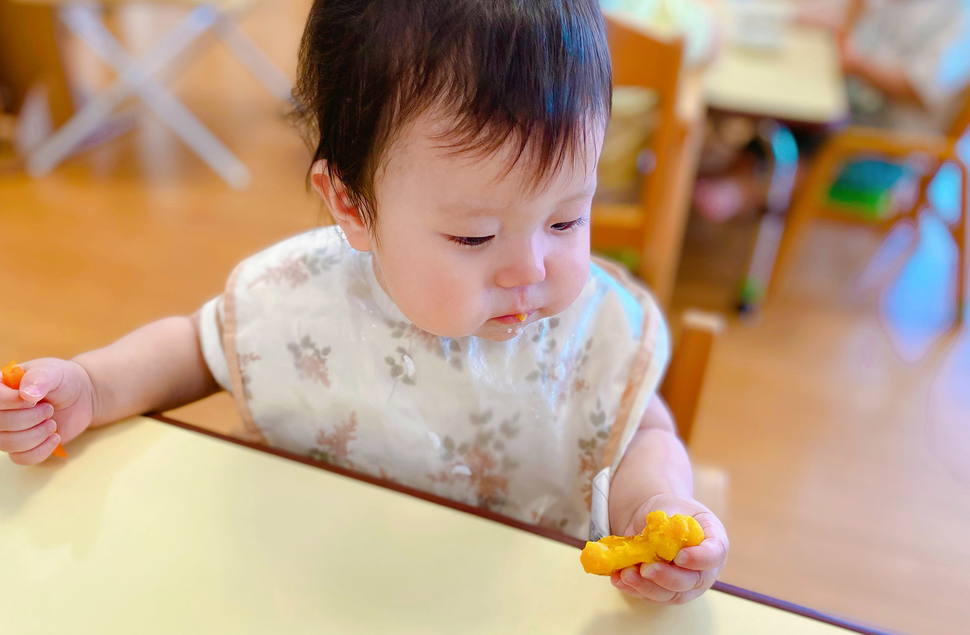 食育の研究・研修事業