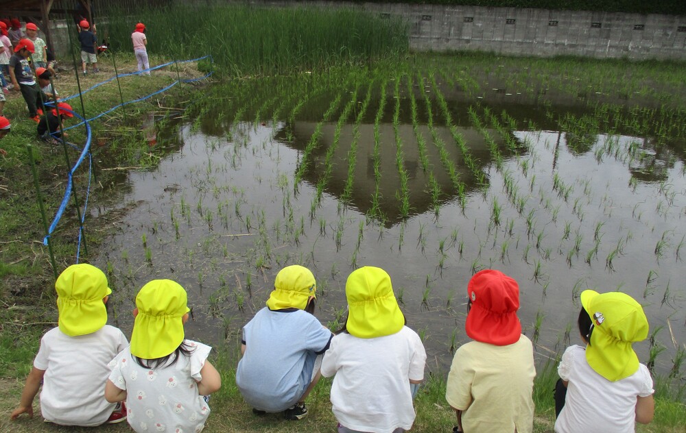 マリア園