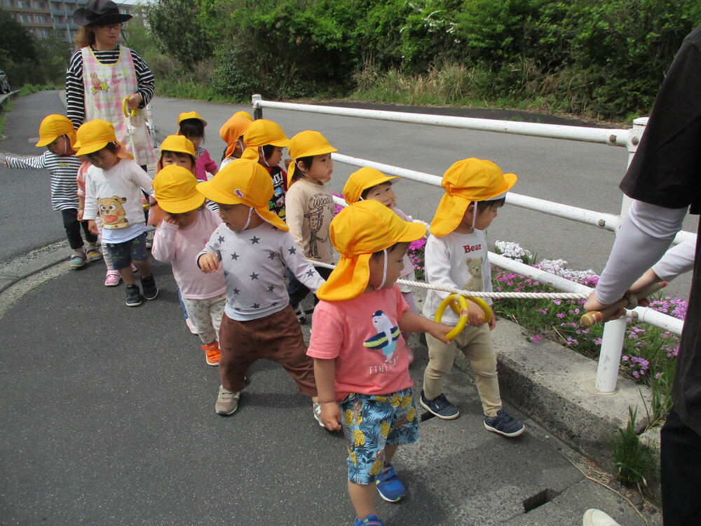 すみれ