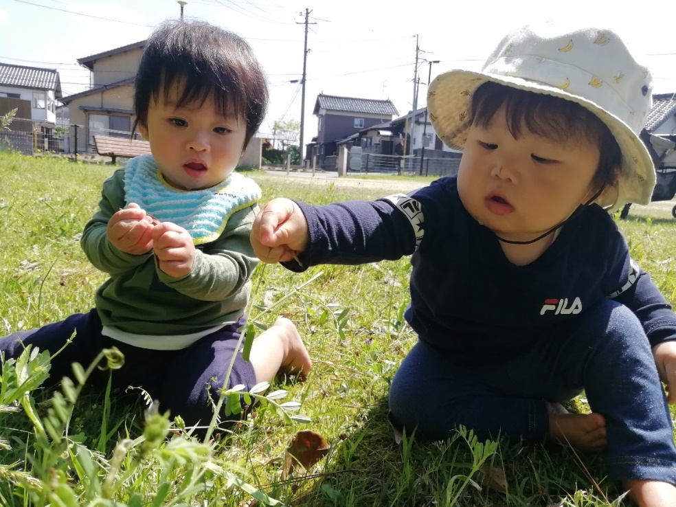 これなーんだ