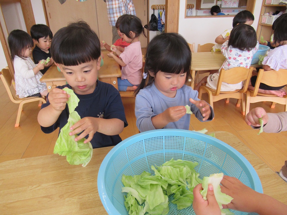 野菜サラダ