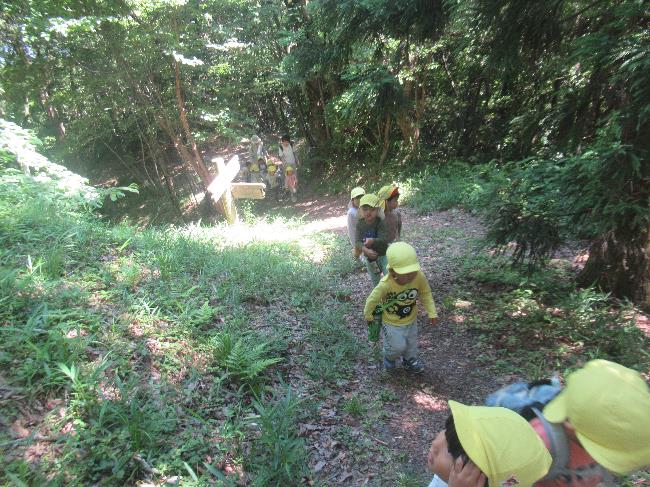 自然公園山登り