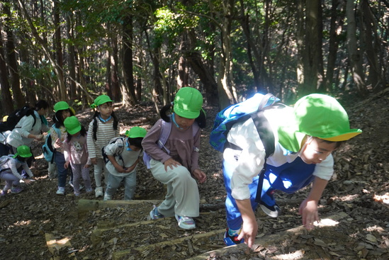 鳶ヶ巣山登山