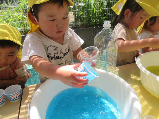 色水研究