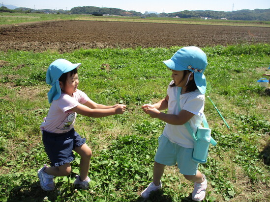 草すもう