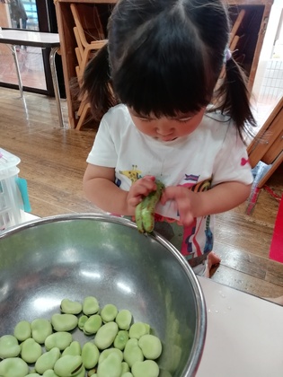 そら豆