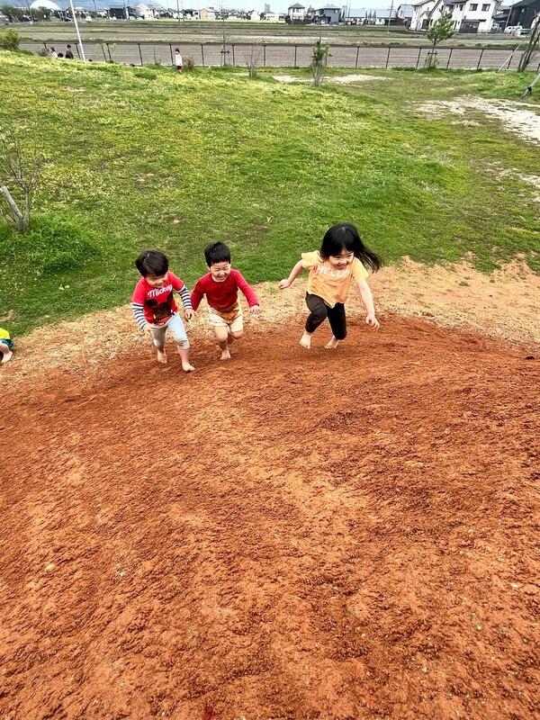 自慢の築山