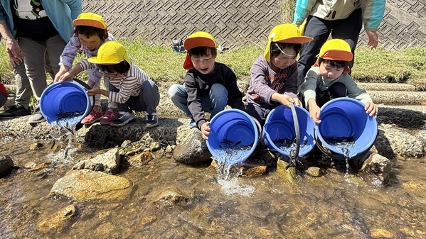 稚鮎の放流