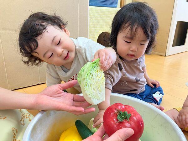 夏野菜
