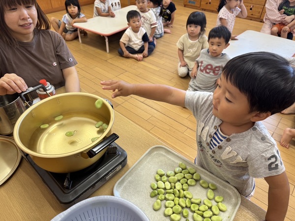そら豆