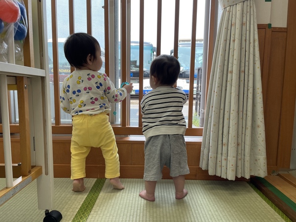 バスがたくさん