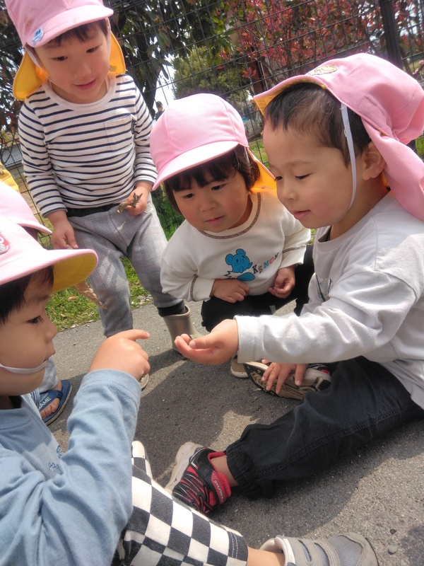 《３歳児》