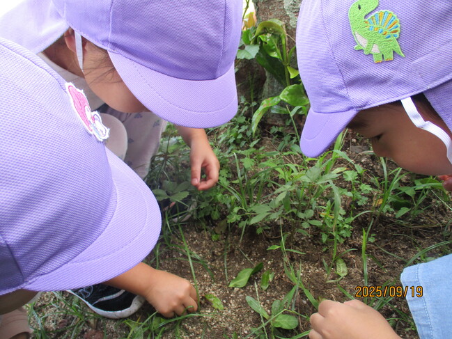 これ　な～んだ？