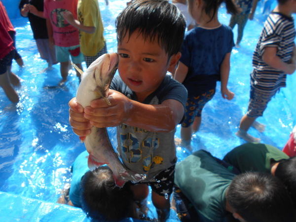 ヤマメとったぞ