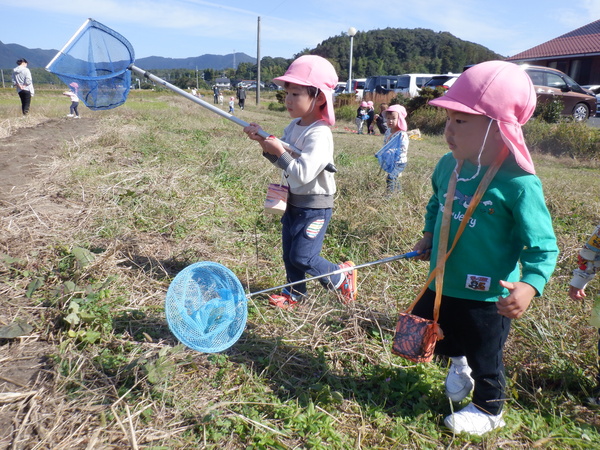 虫さんを見つけた