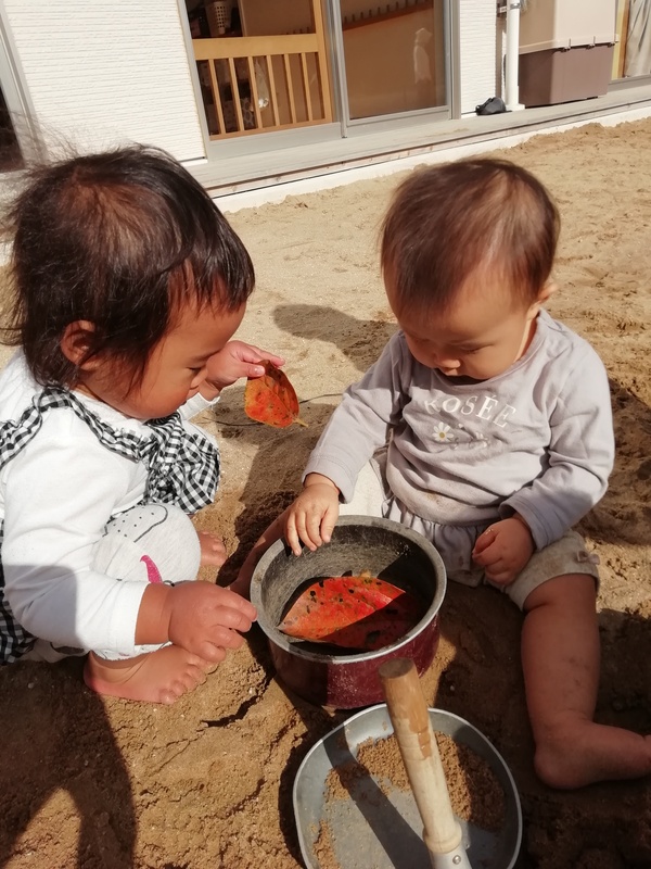 葉っぱのごちそう