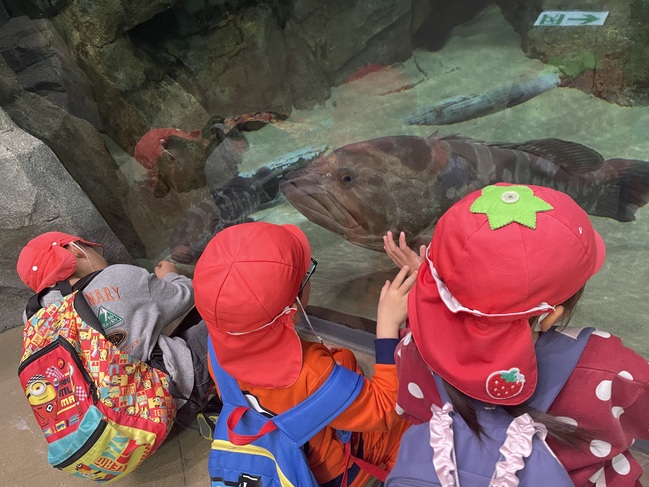  大きいお魚だね