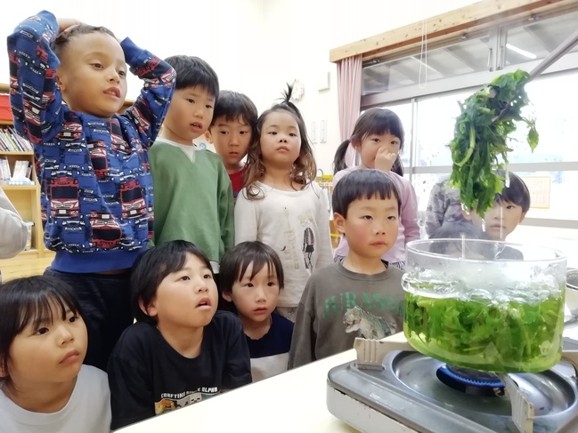 ヨモギの葉っぱ