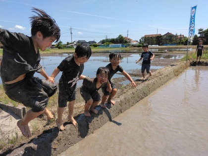 田んぼの中へ