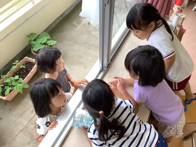 なかよしさんでお話し中