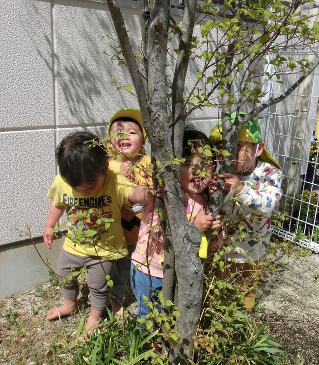 もういいかい