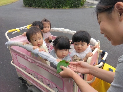 お散歩大好き