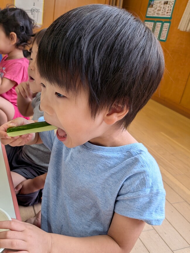 スティックきゅうり