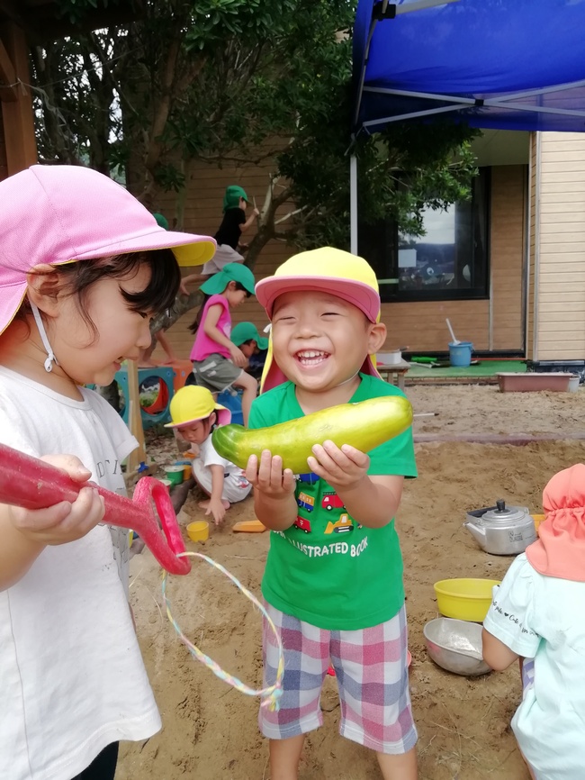 黄色いおばけきゅうり